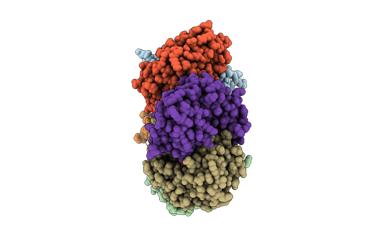 2I8A image