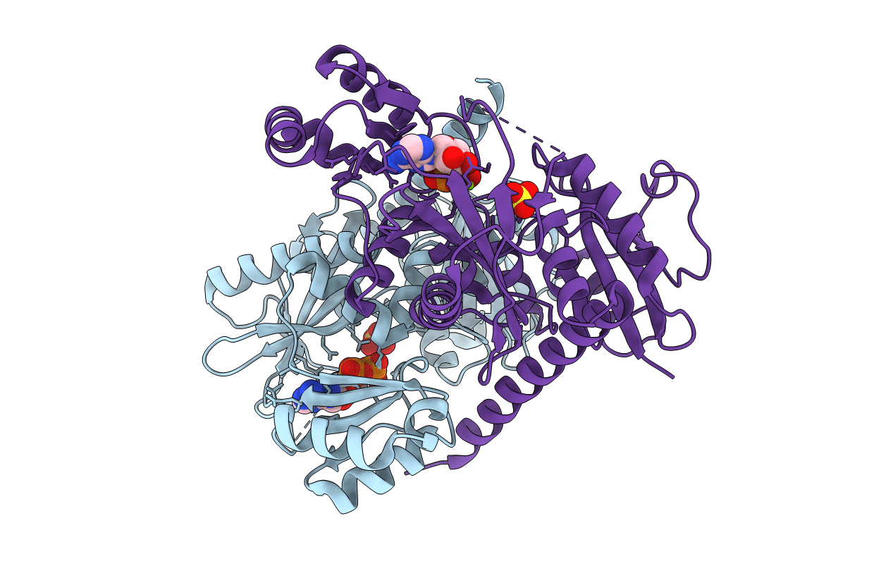 2I8C image