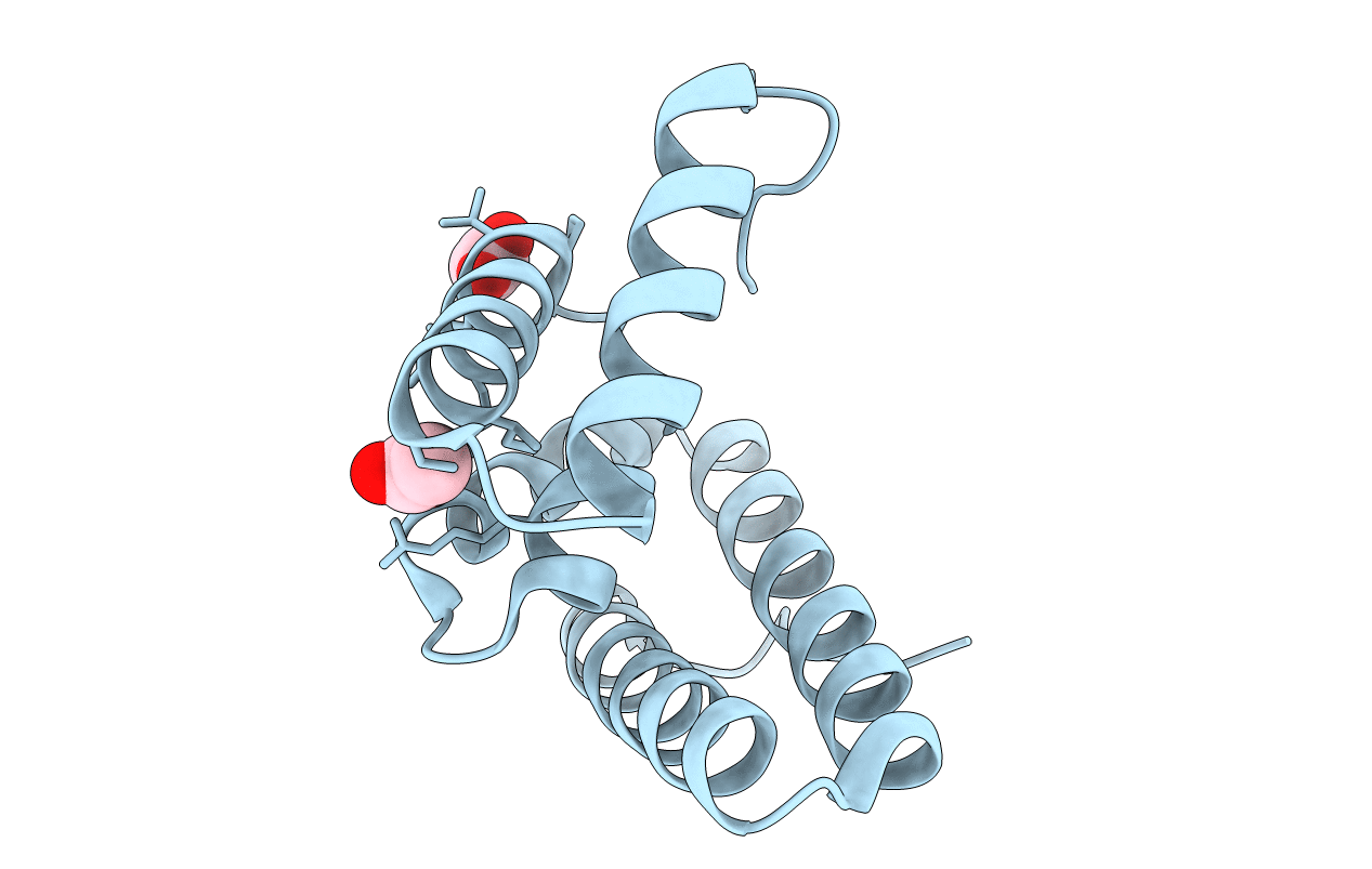 2I9C image