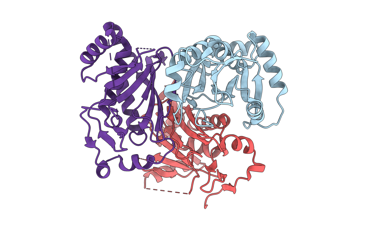 2I9D image