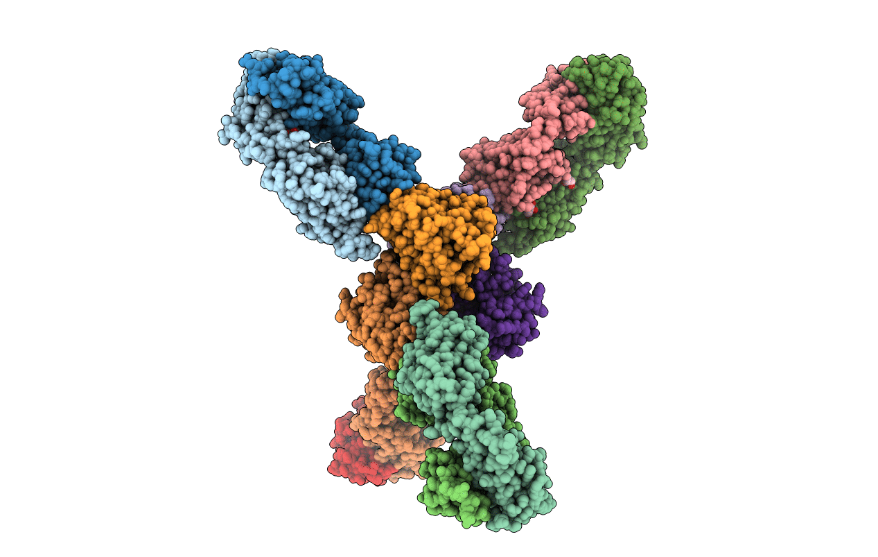 2I9L image