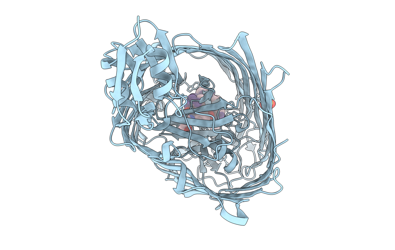 2iah image