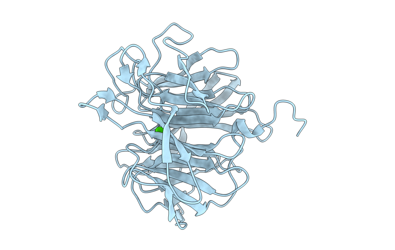 2IAX image