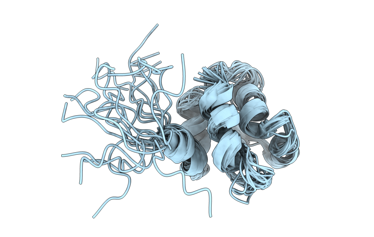 2IB1 image