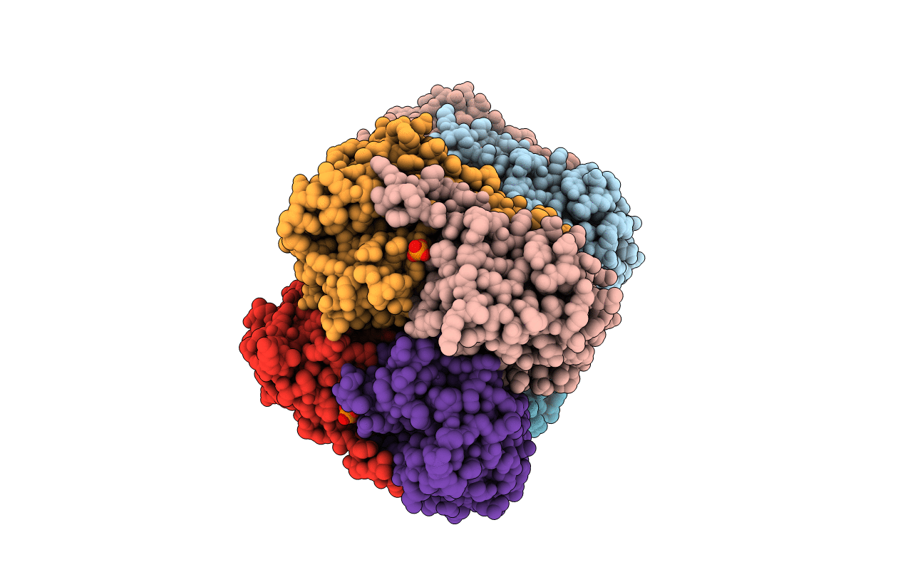 2IB5 image