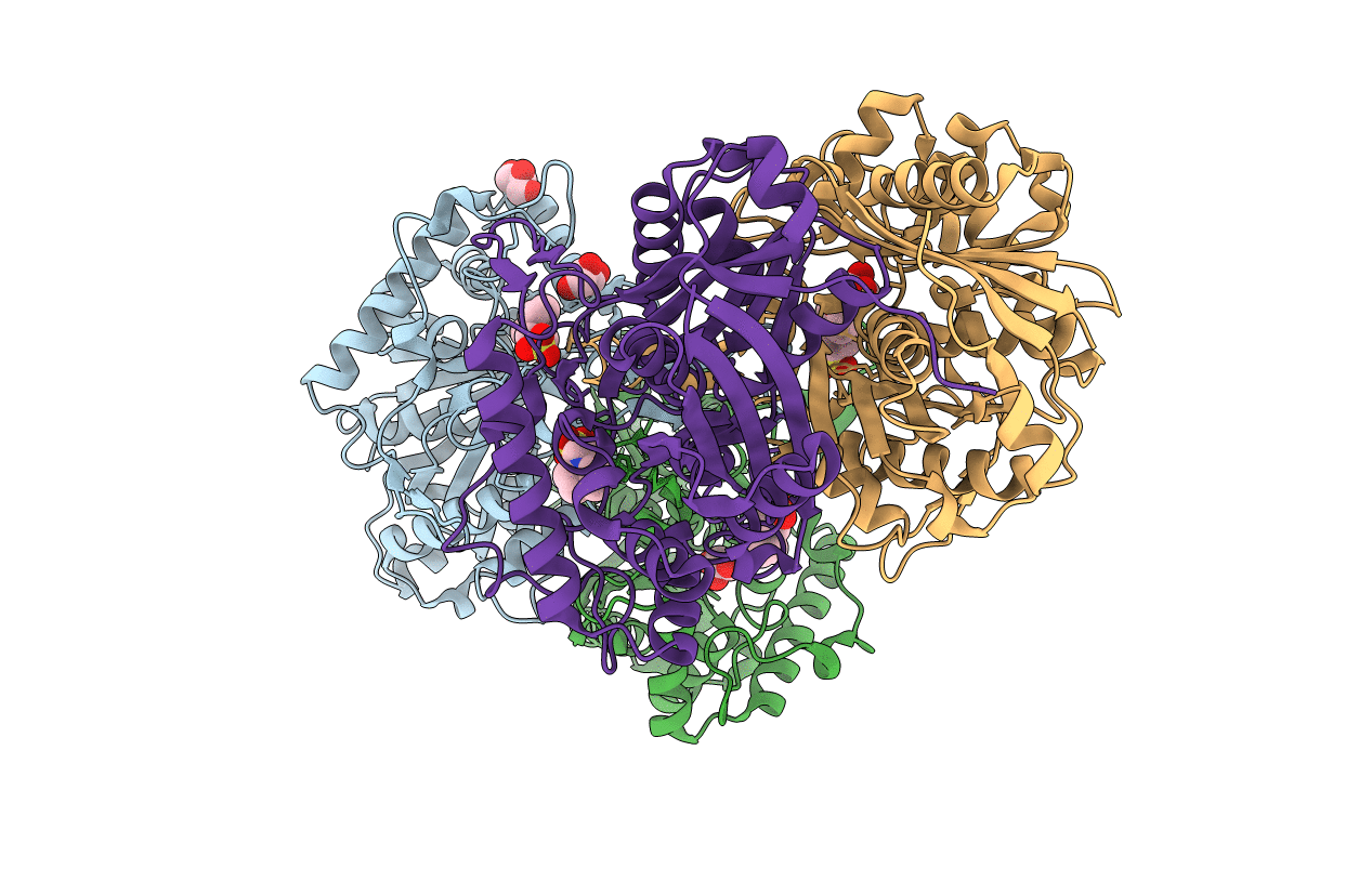 2IB7 image