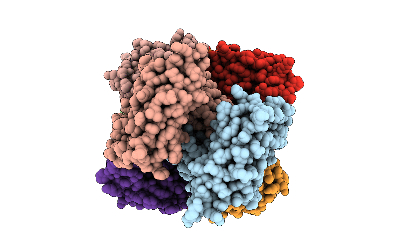 2IBG image