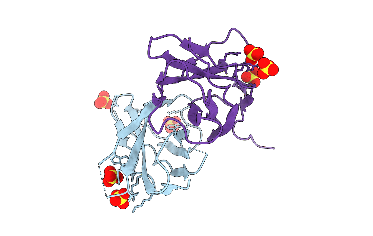 2IC2 image