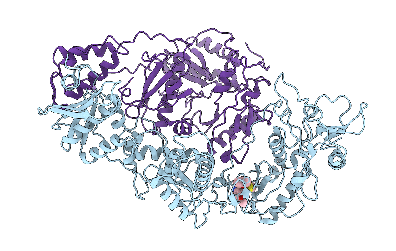 2IC3 image