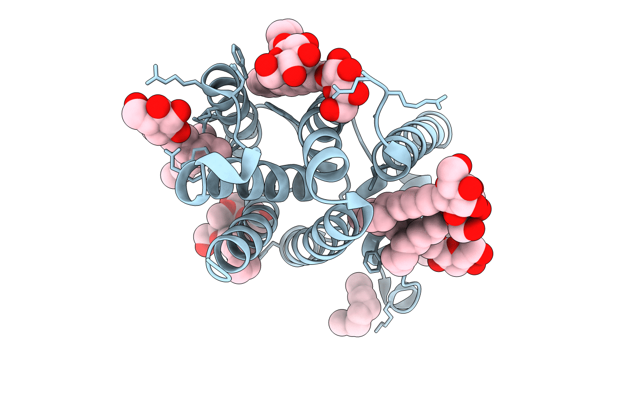 2IC8 image