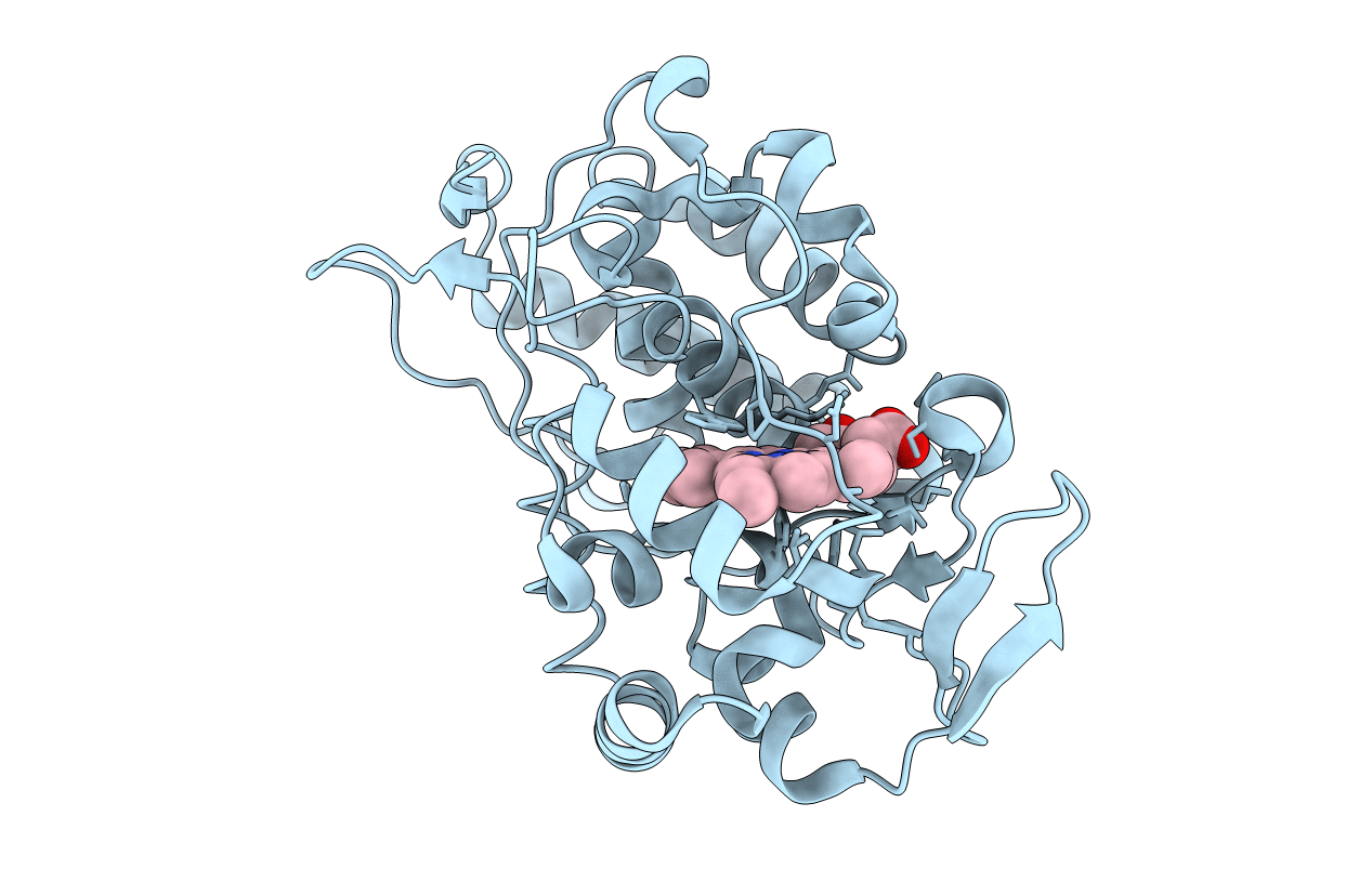 2ICV image