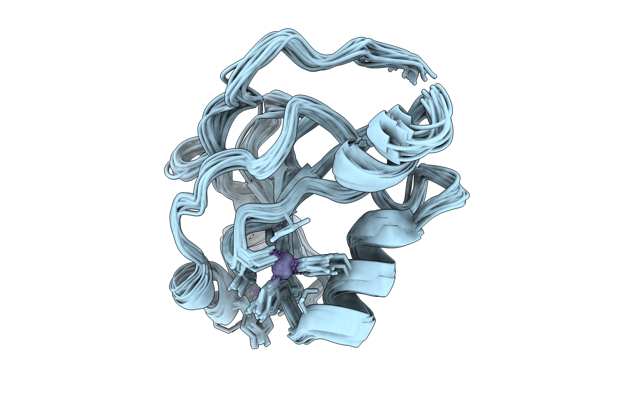 2IDA image