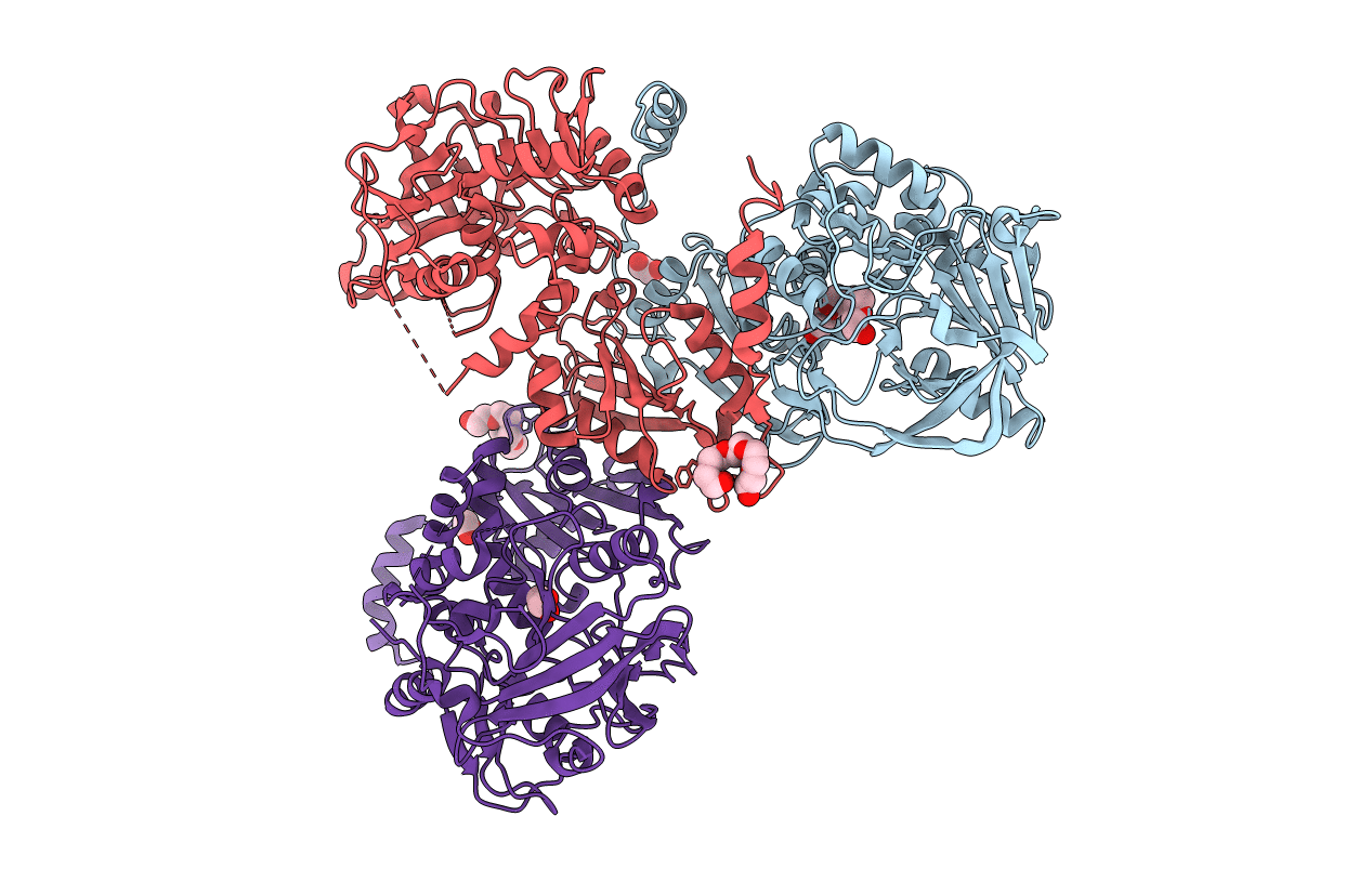 2IDB image