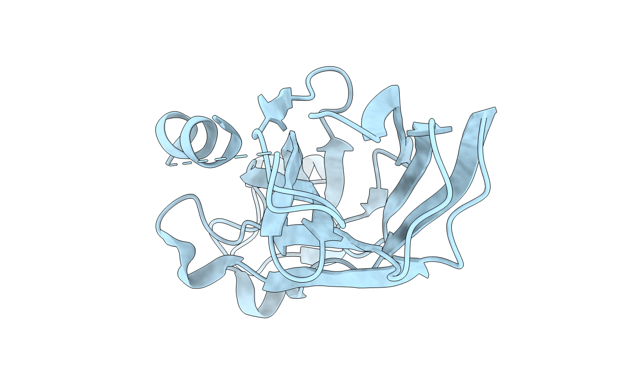 2IDC image