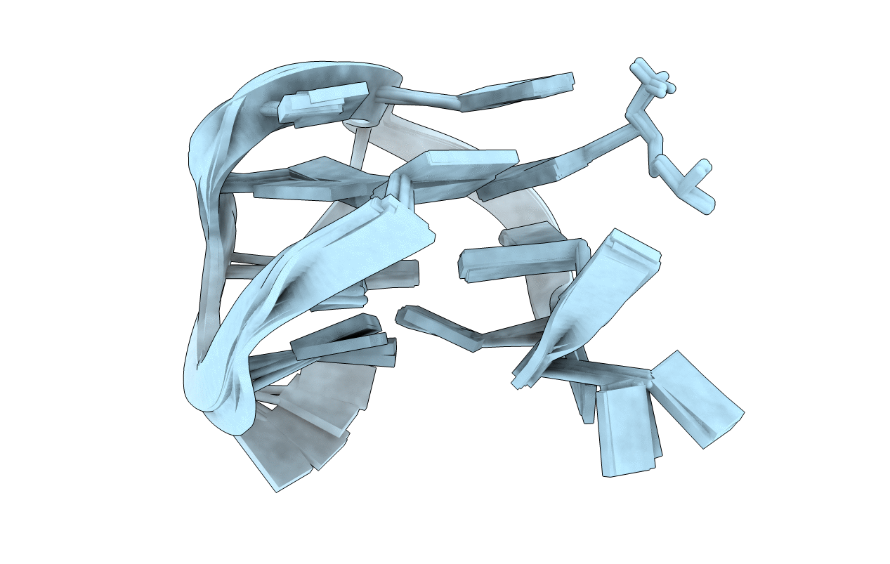 2IDN image