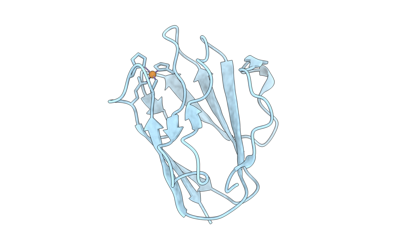 2IDT image