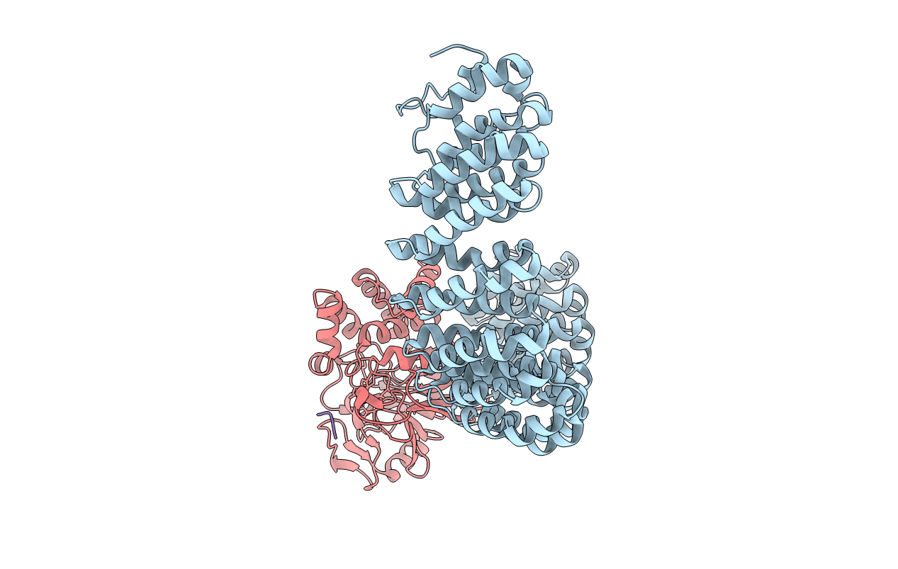 2IE3 image