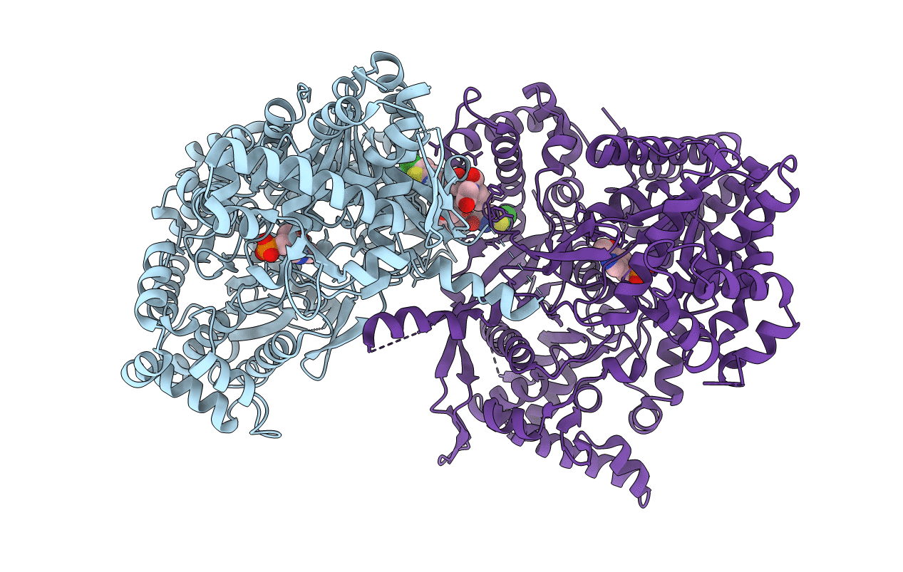 2IEI image