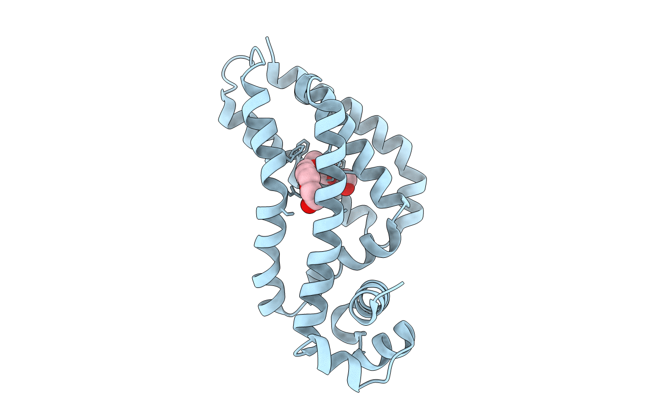 2iek image