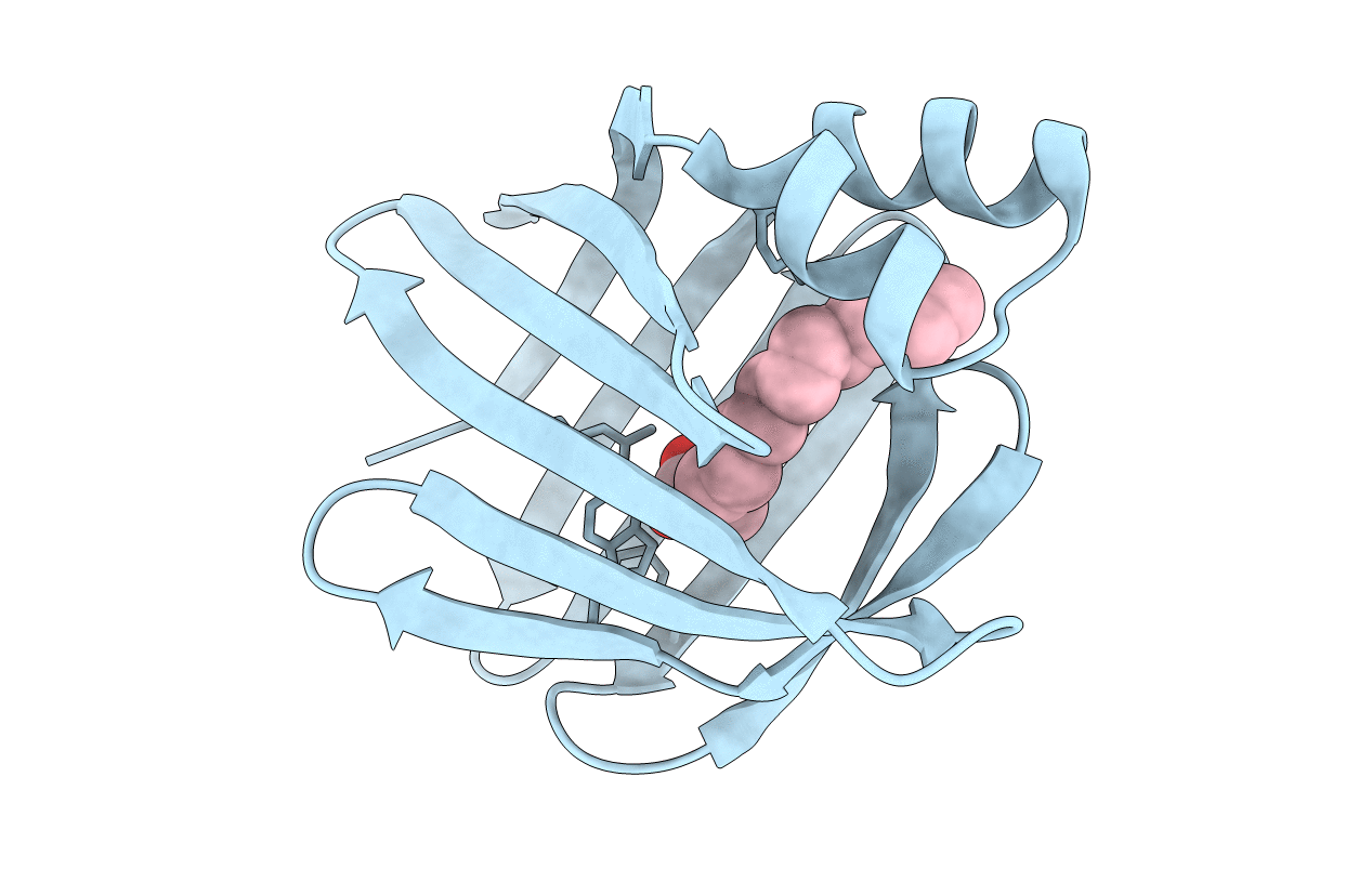 2IFB image