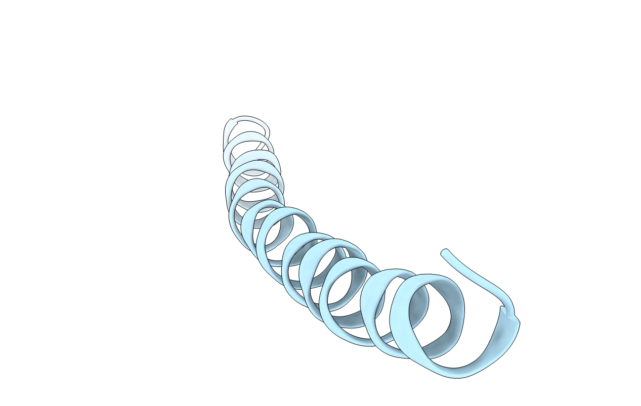 2IFM image