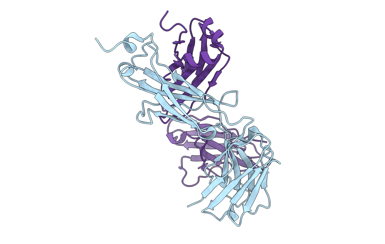 2IG2 image