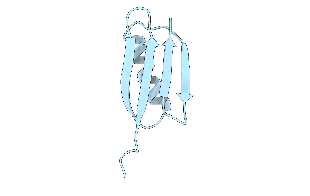 2IGD image