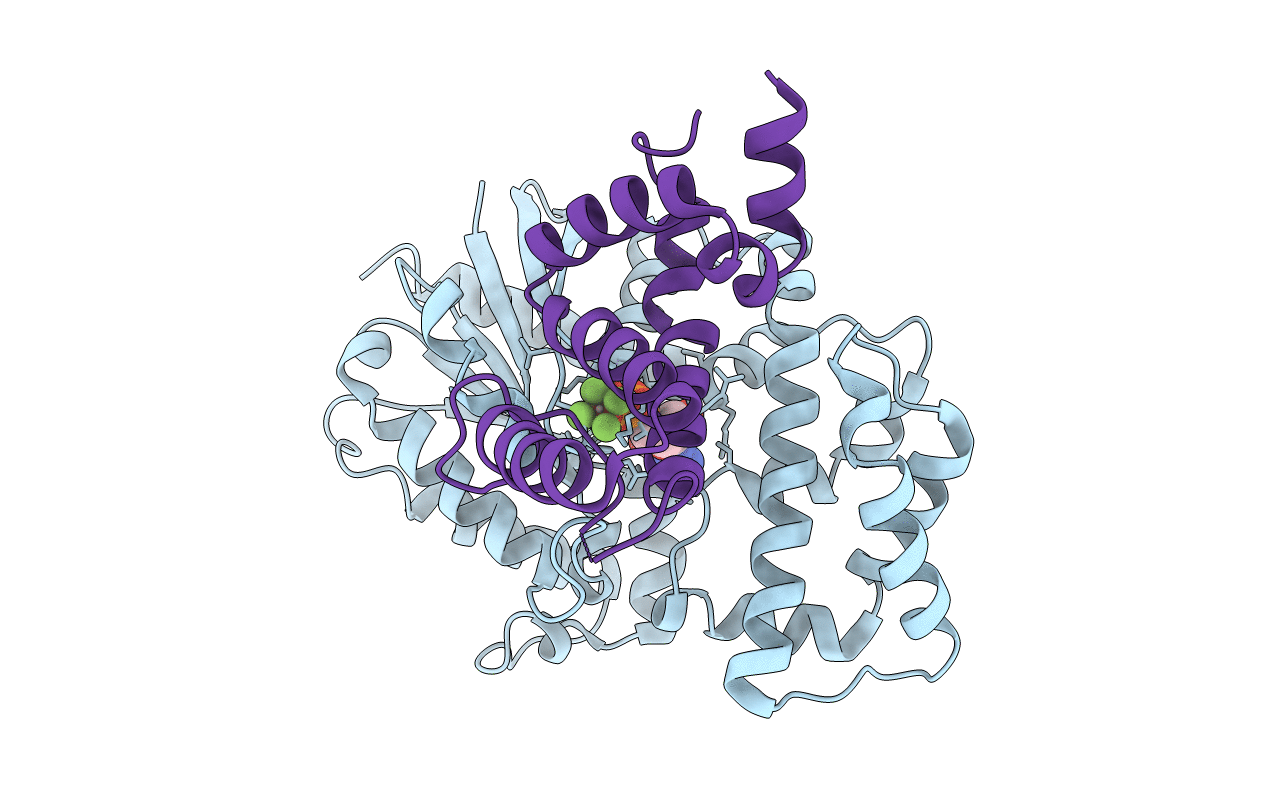 2IHB image