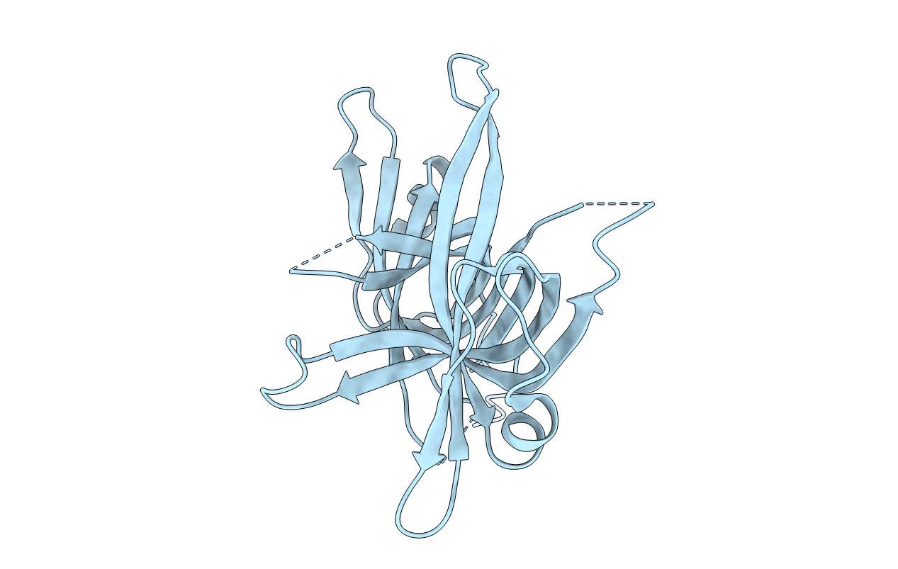 2IHF image
