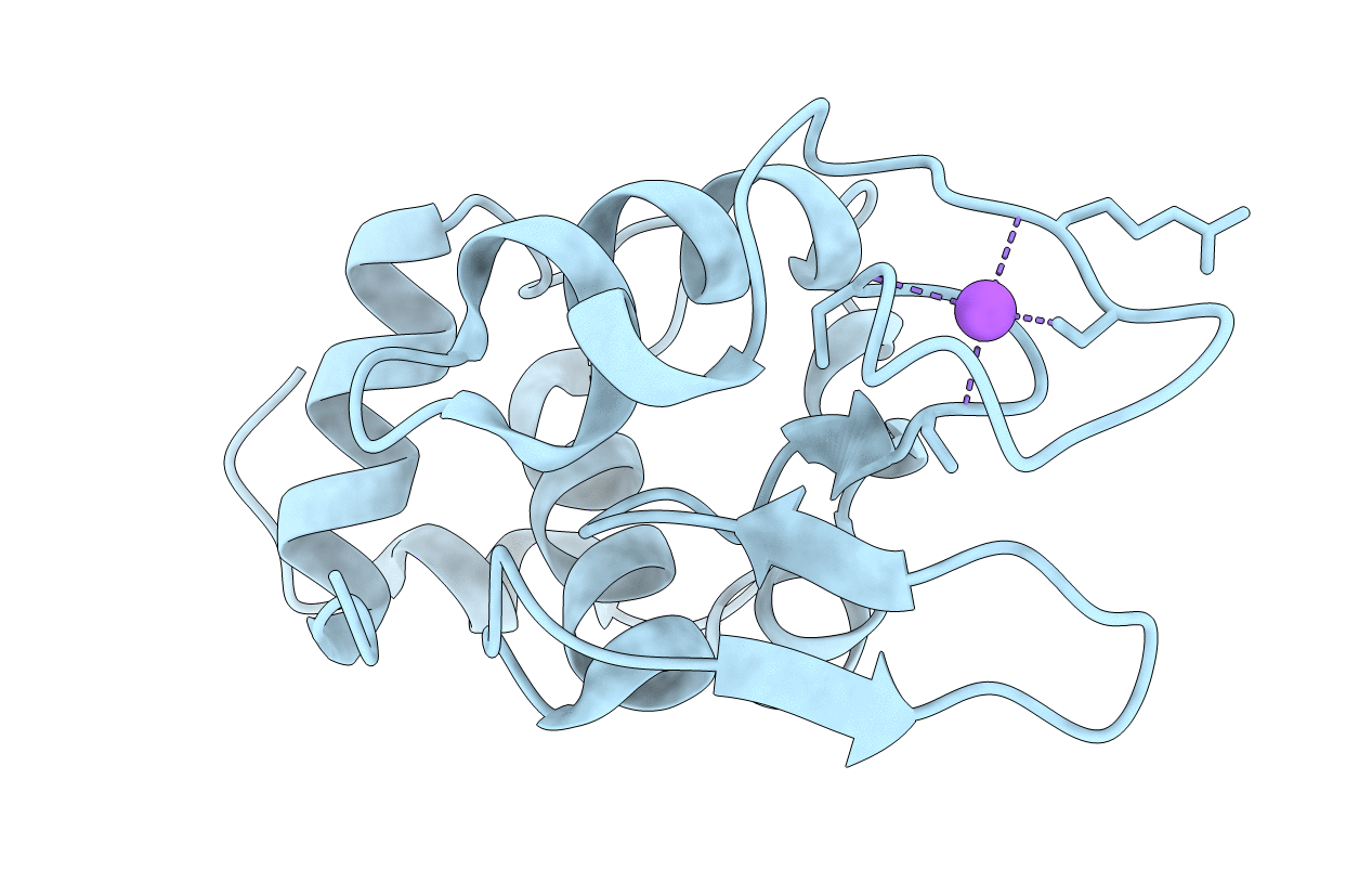2IHL image