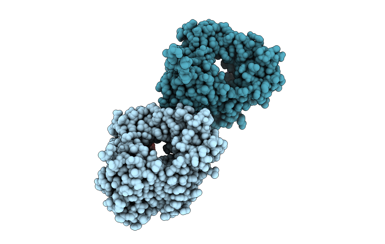 2IHM image