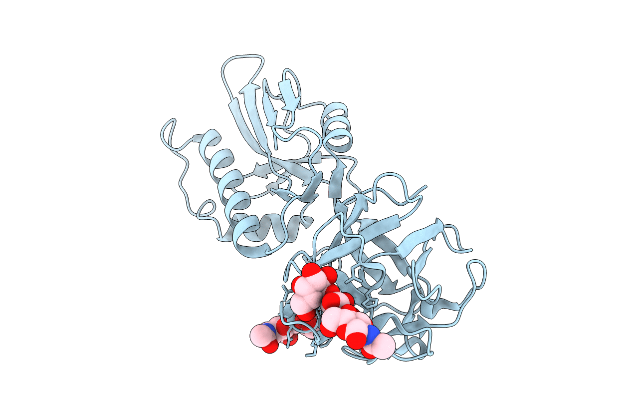2IHO image