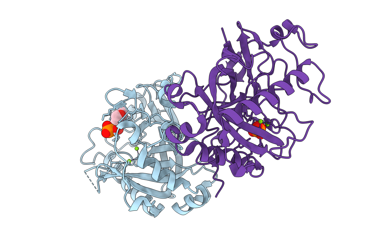 2IHP image