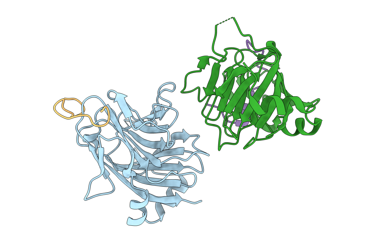 2IHS image