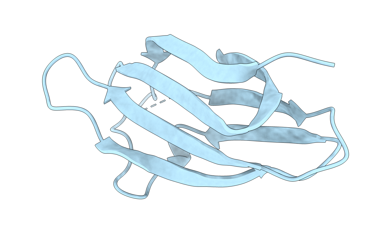 2IIA image