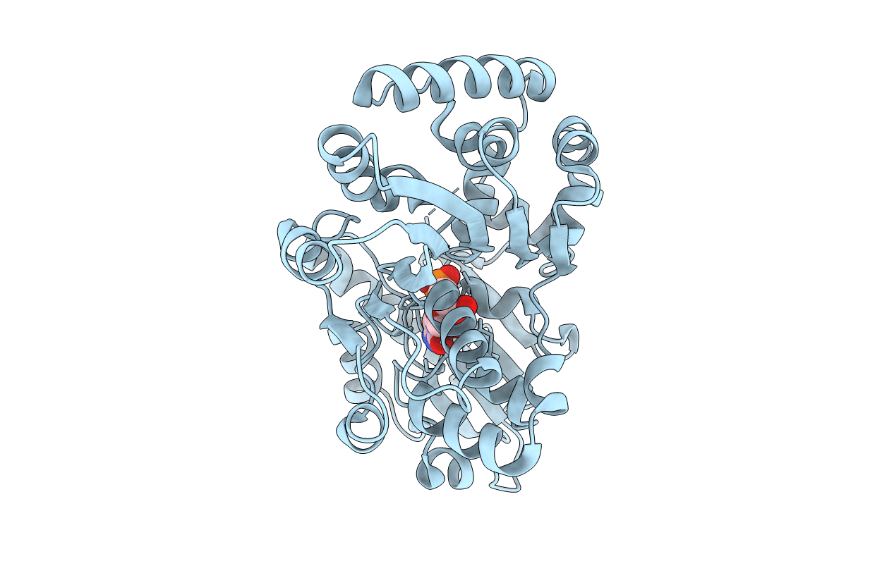 2IIB image