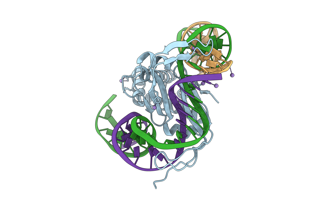 2IIF image