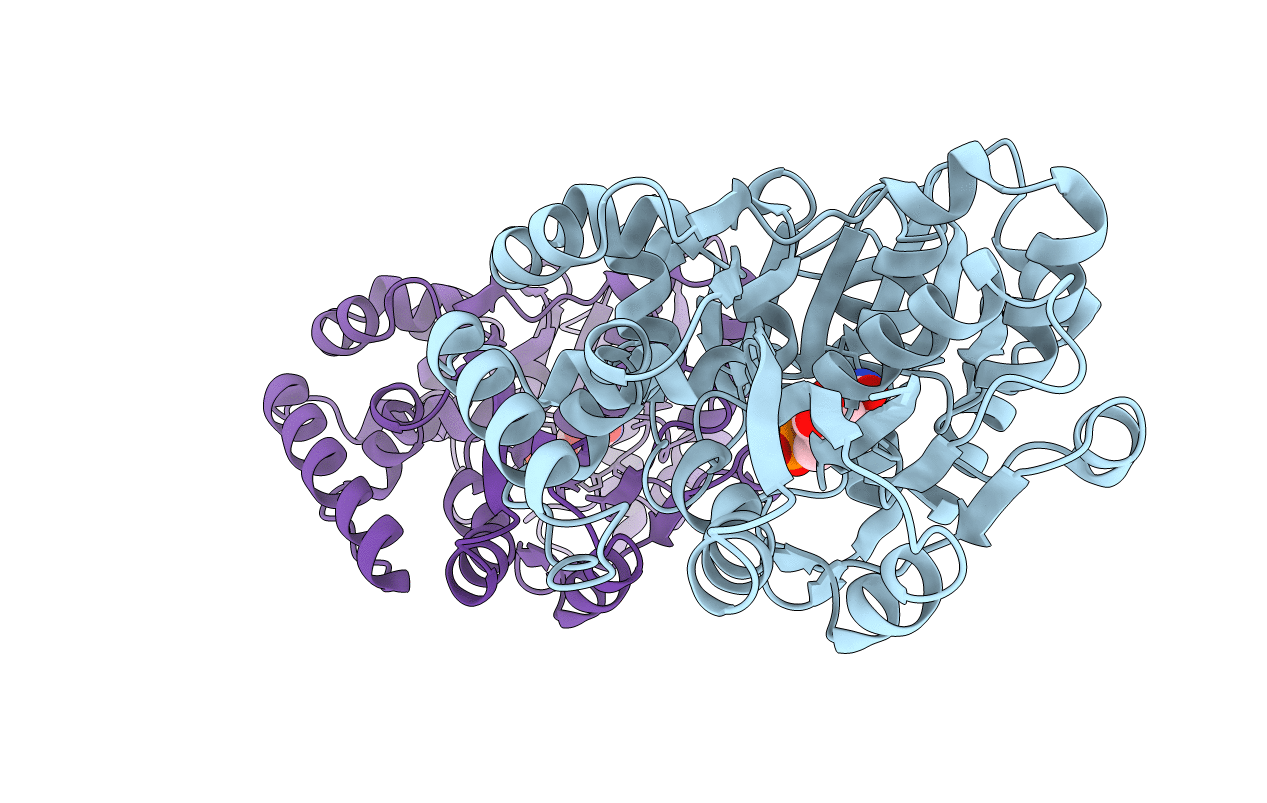 2IIQ image