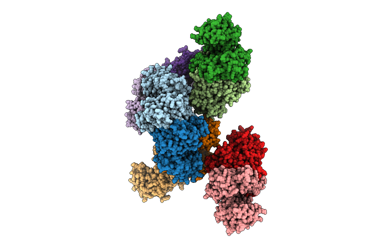 2IIR image