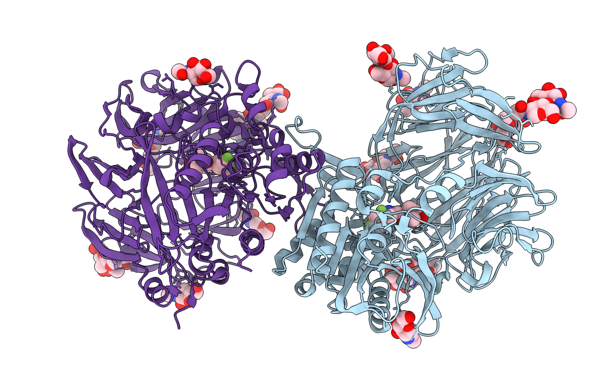 2iiv image
