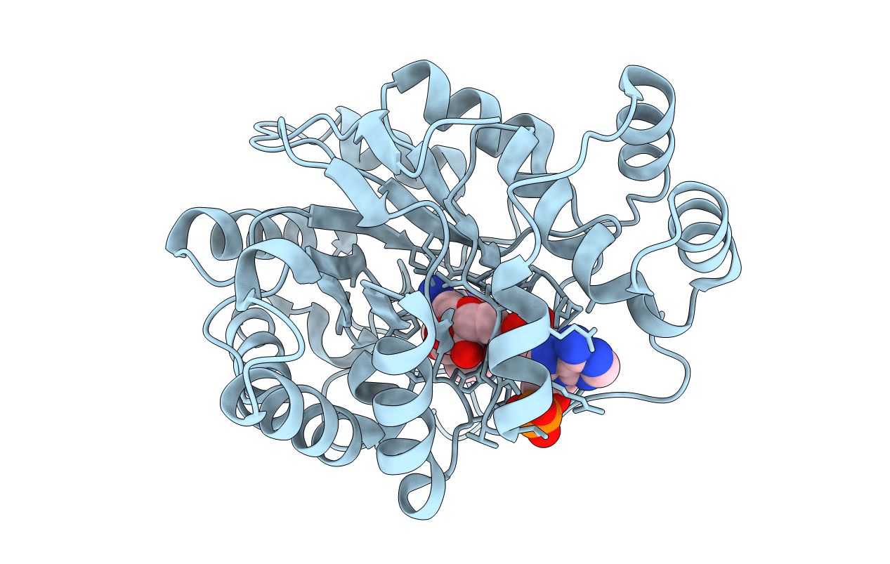 2IKG image