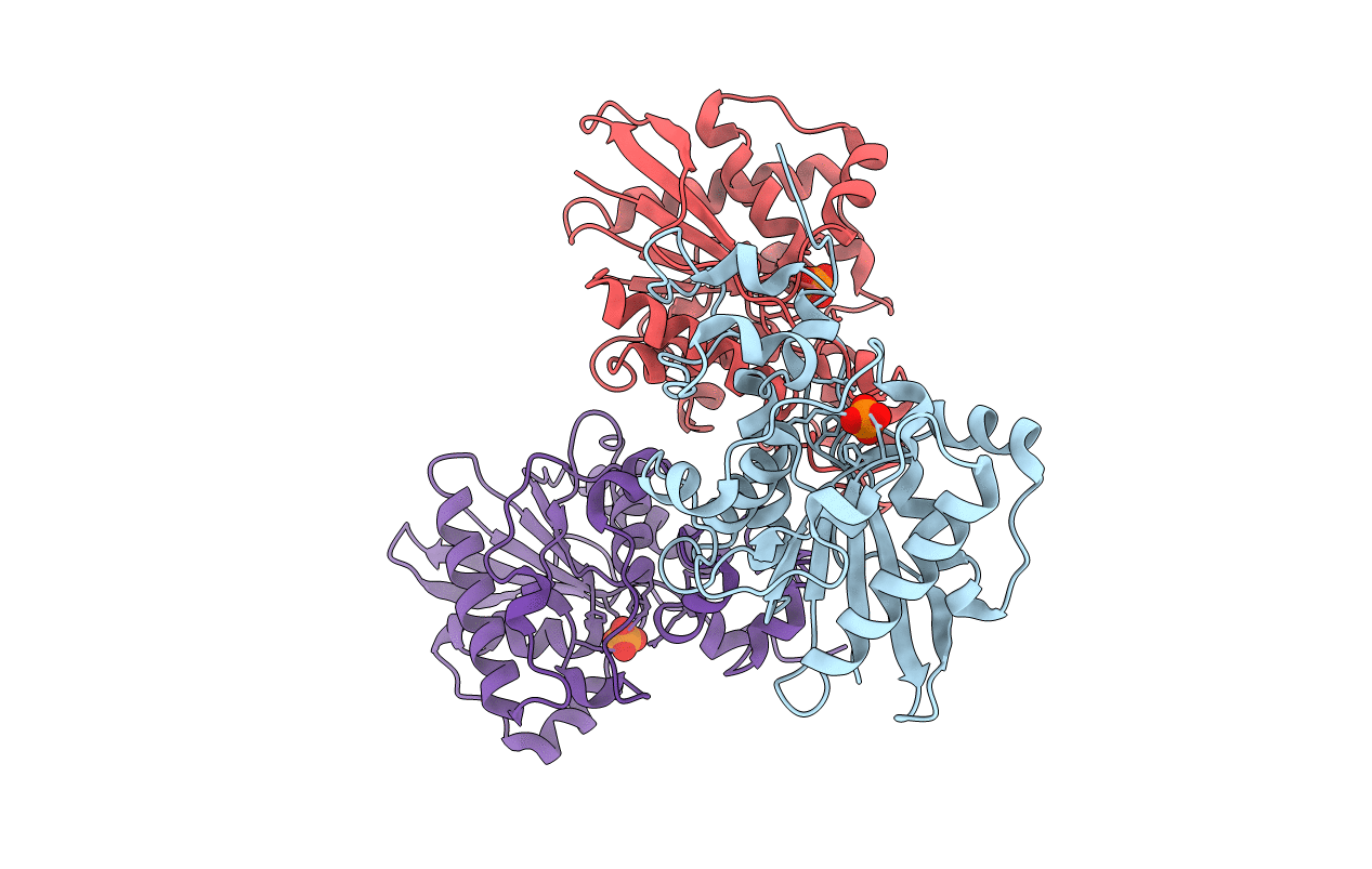 2IKQ image