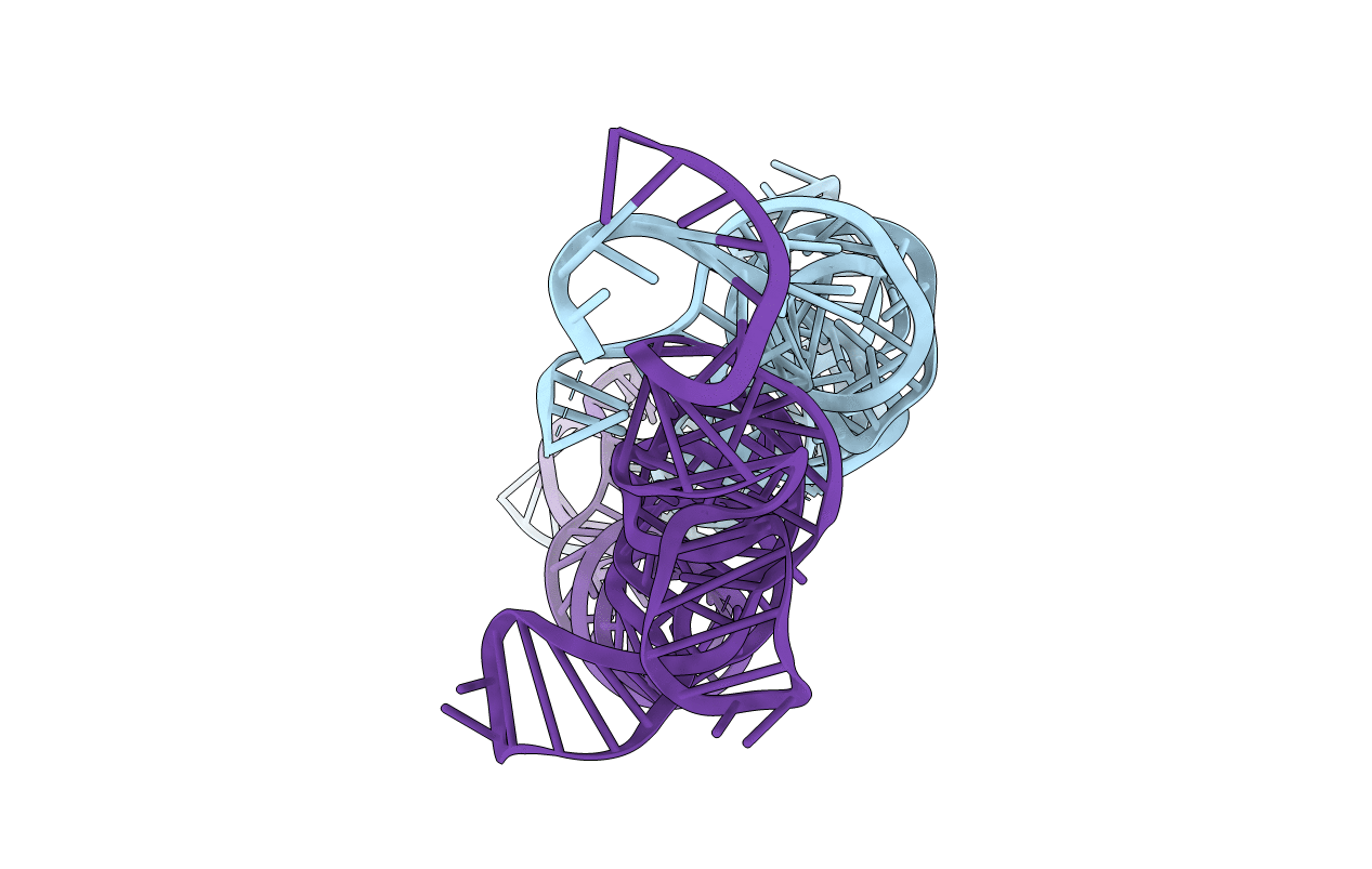 2IL9 image