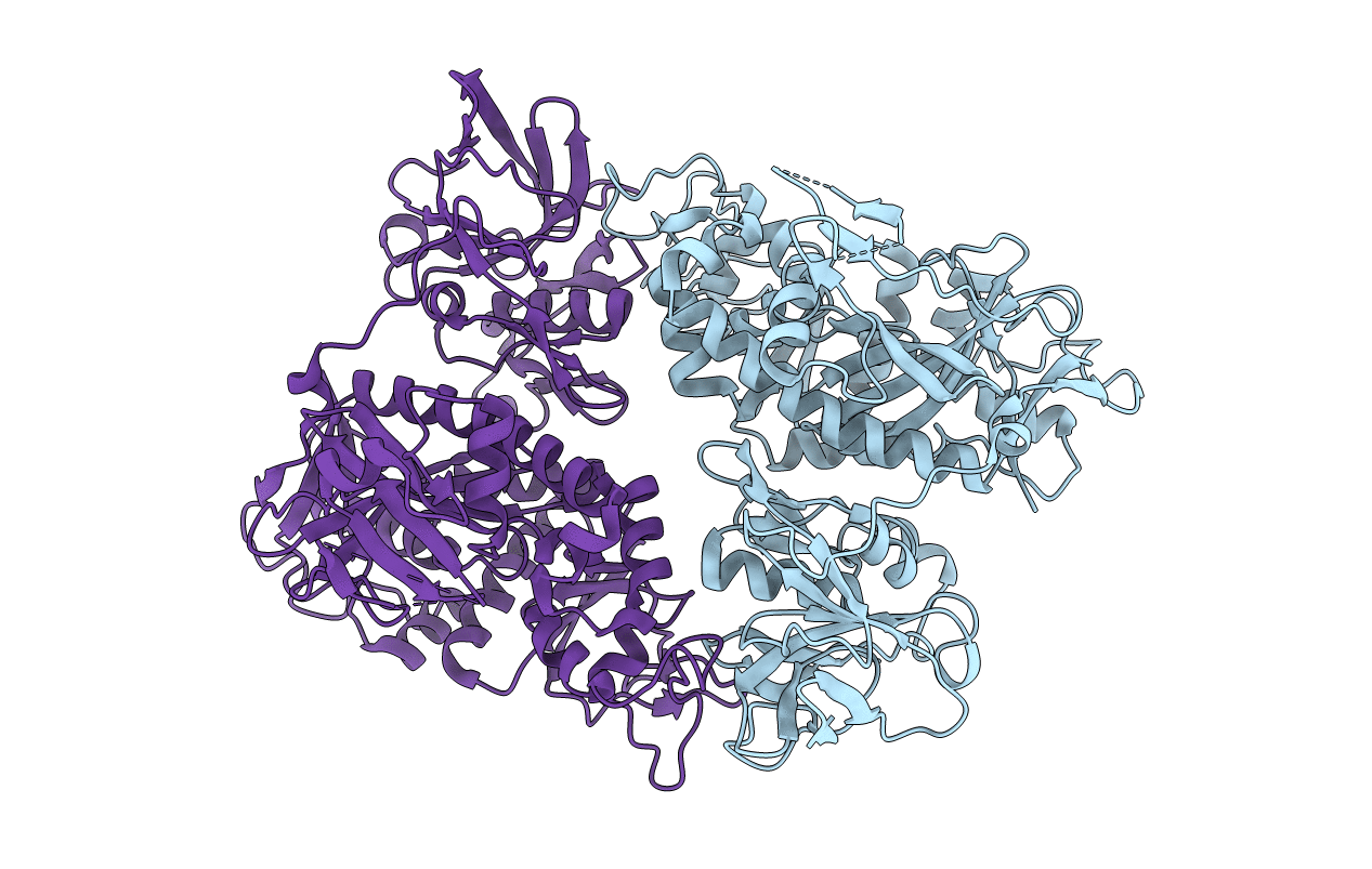 2iob image