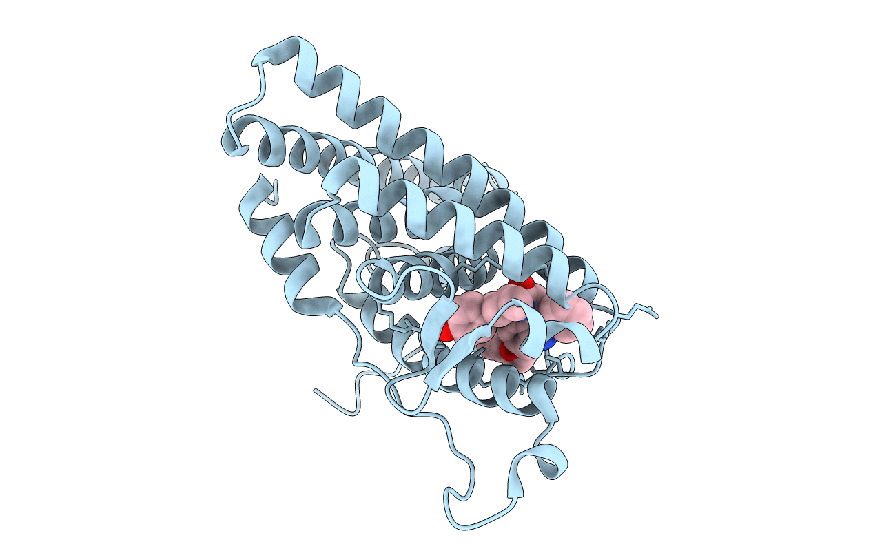 2IOG image