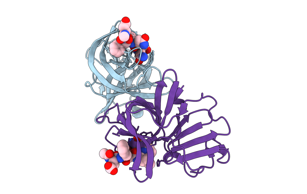 2iph image
