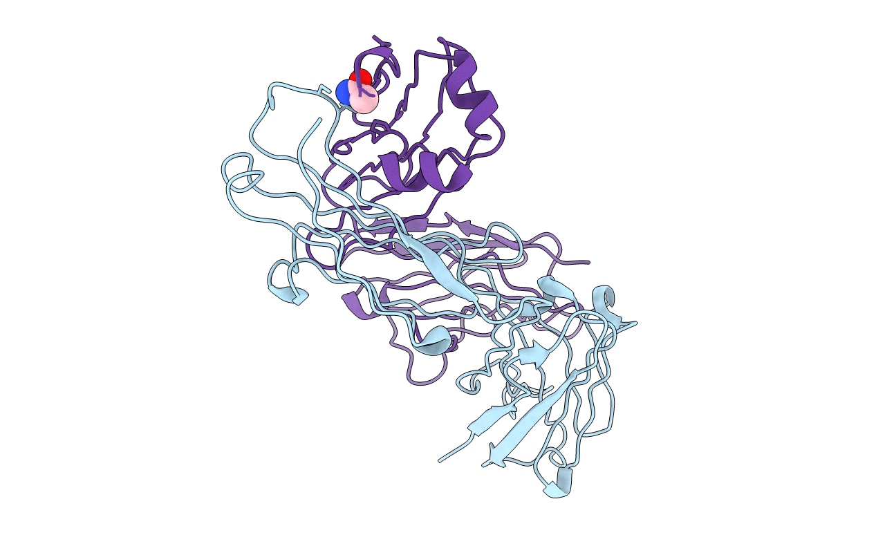 2IPT image