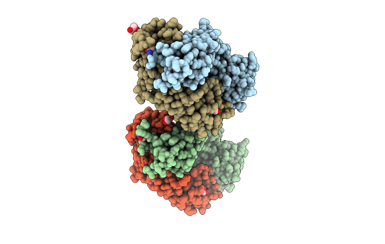 2IPU image