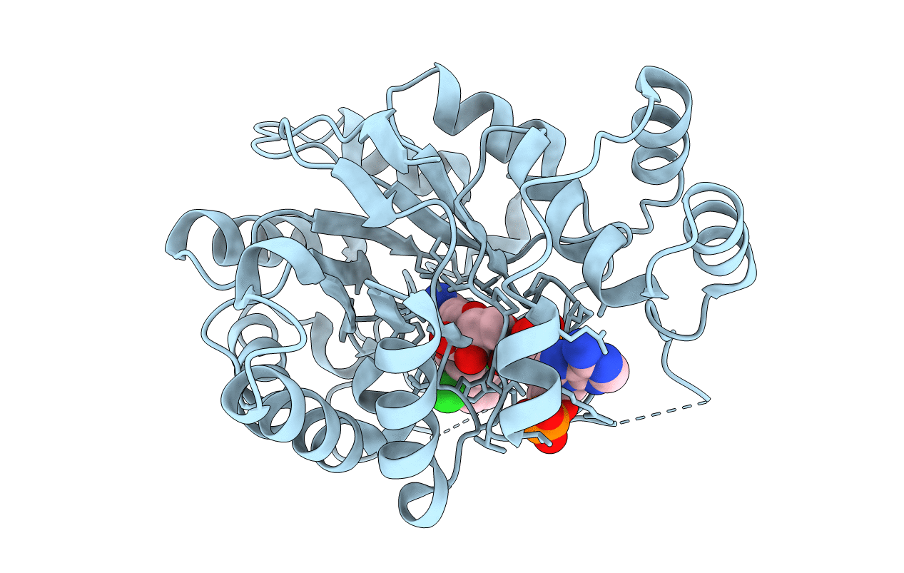 2IPW image