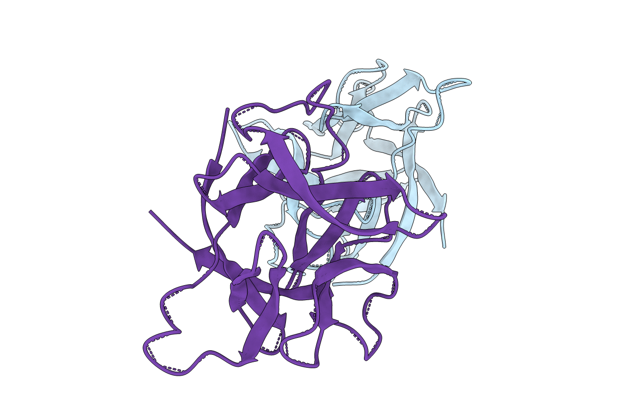 2IRT image
